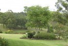 Redgate WAresidential-landscaping-40.jpg; ?>